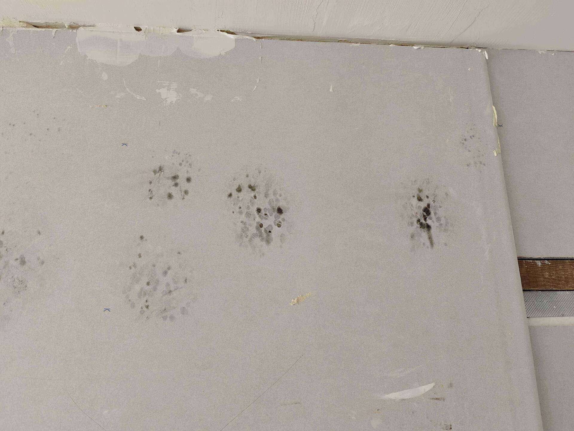 Mozajka z grzyba na nowej ścianie dodaje wnętrzu przytulności